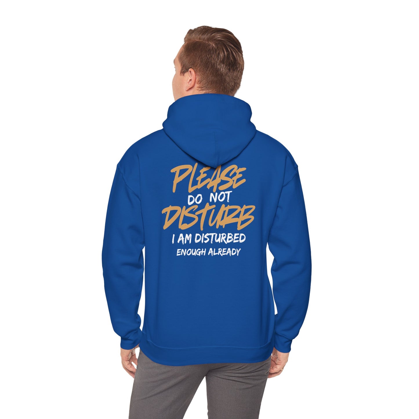 Unisex Heavy Blend™ Hooded Sweatshirt - 'Do Not Disturb'