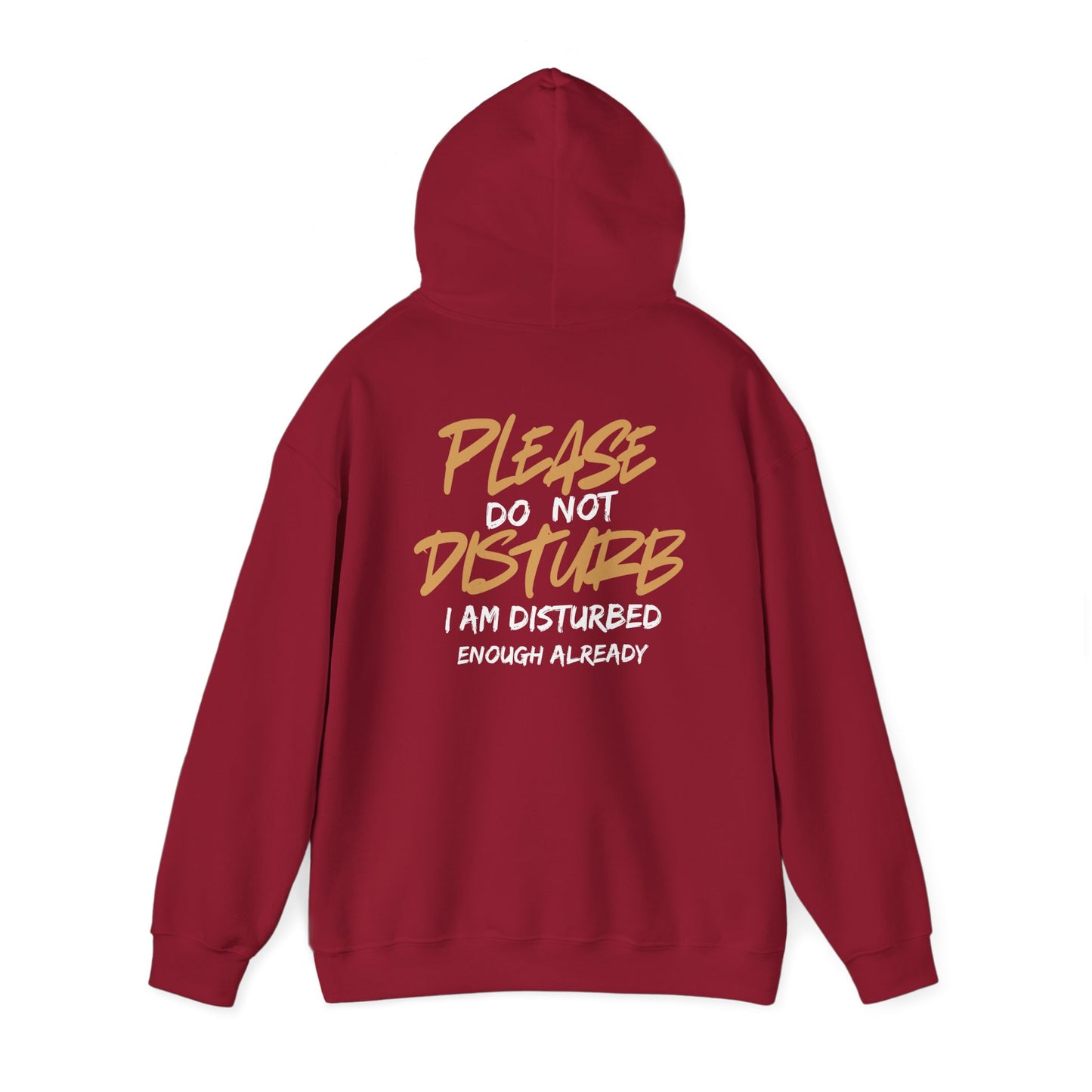 Unisex Heavy Blend™ Hooded Sweatshirt - 'Do Not Disturb'