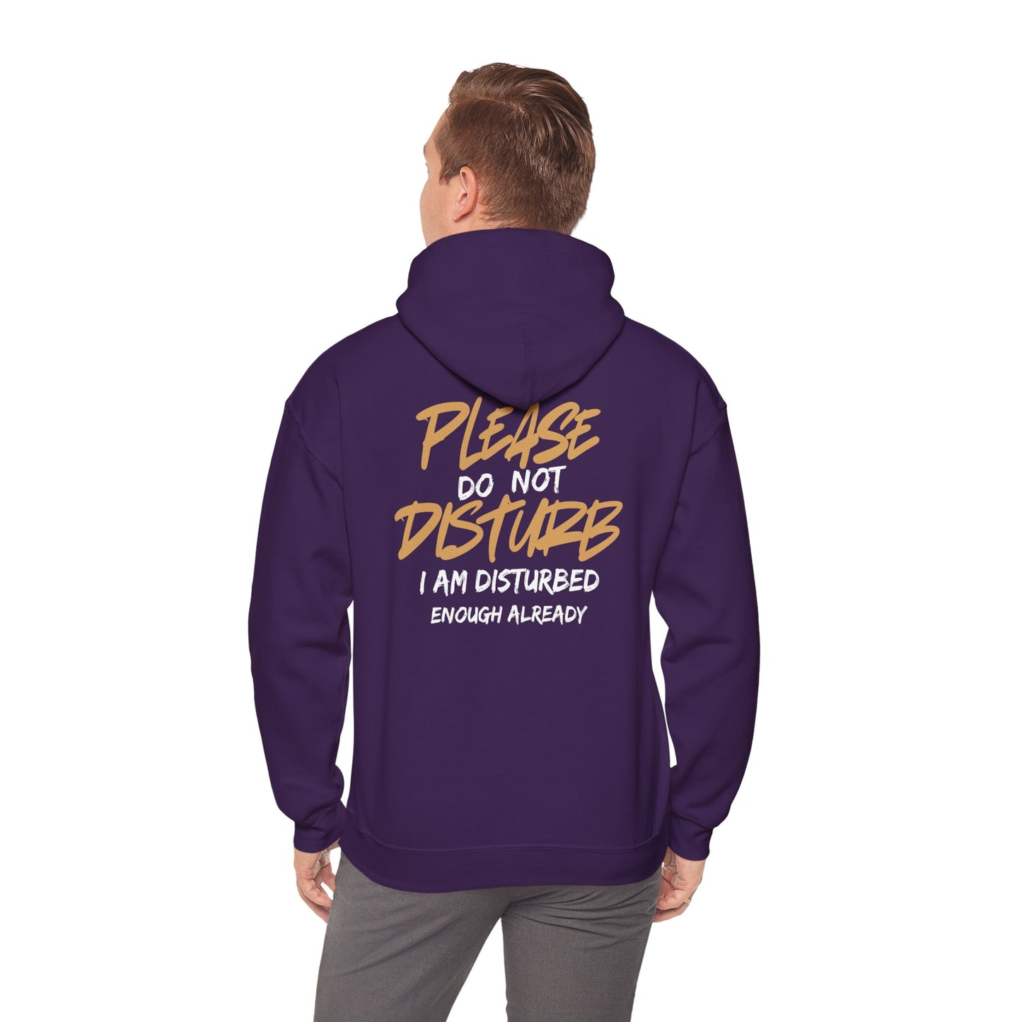 Unisex Heavy Blend™ Hooded Sweatshirt - 'Do Not Disturb'