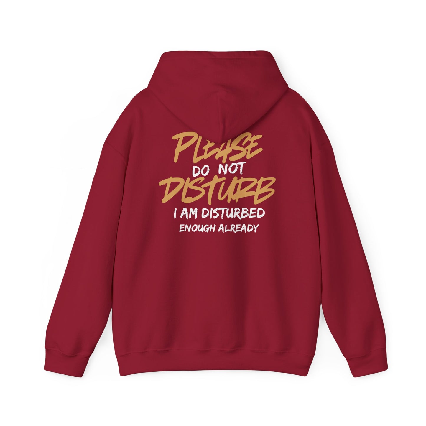 Unisex Heavy Blend™ Hooded Sweatshirt - 'Do Not Disturb'
