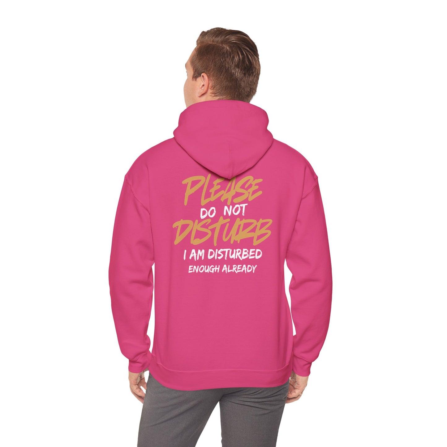 Unisex Heavy Blend™ Hooded Sweatshirt - 'Do Not Disturb'