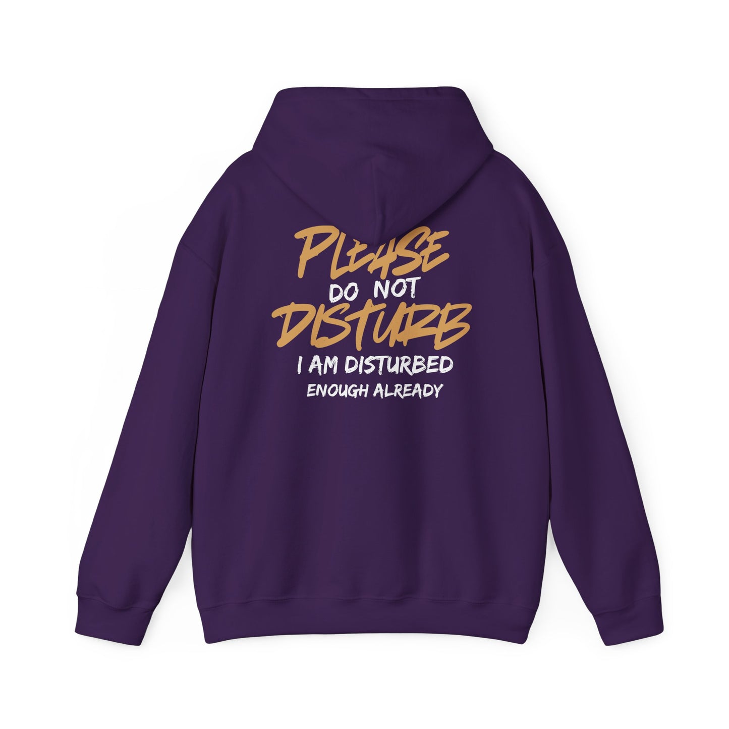 Unisex Heavy Blend™ Hooded Sweatshirt - 'Do Not Disturb'