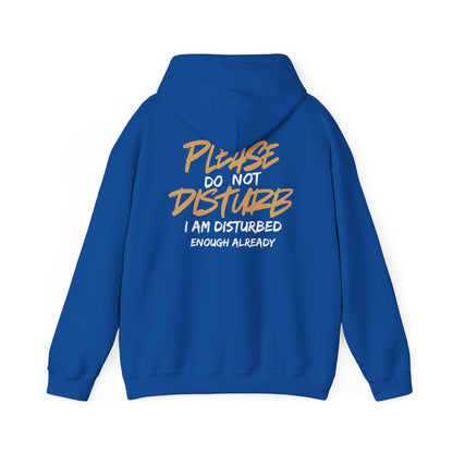 Unisex Heavy Blend™ Hooded Sweatshirt - 'Do Not Disturb'