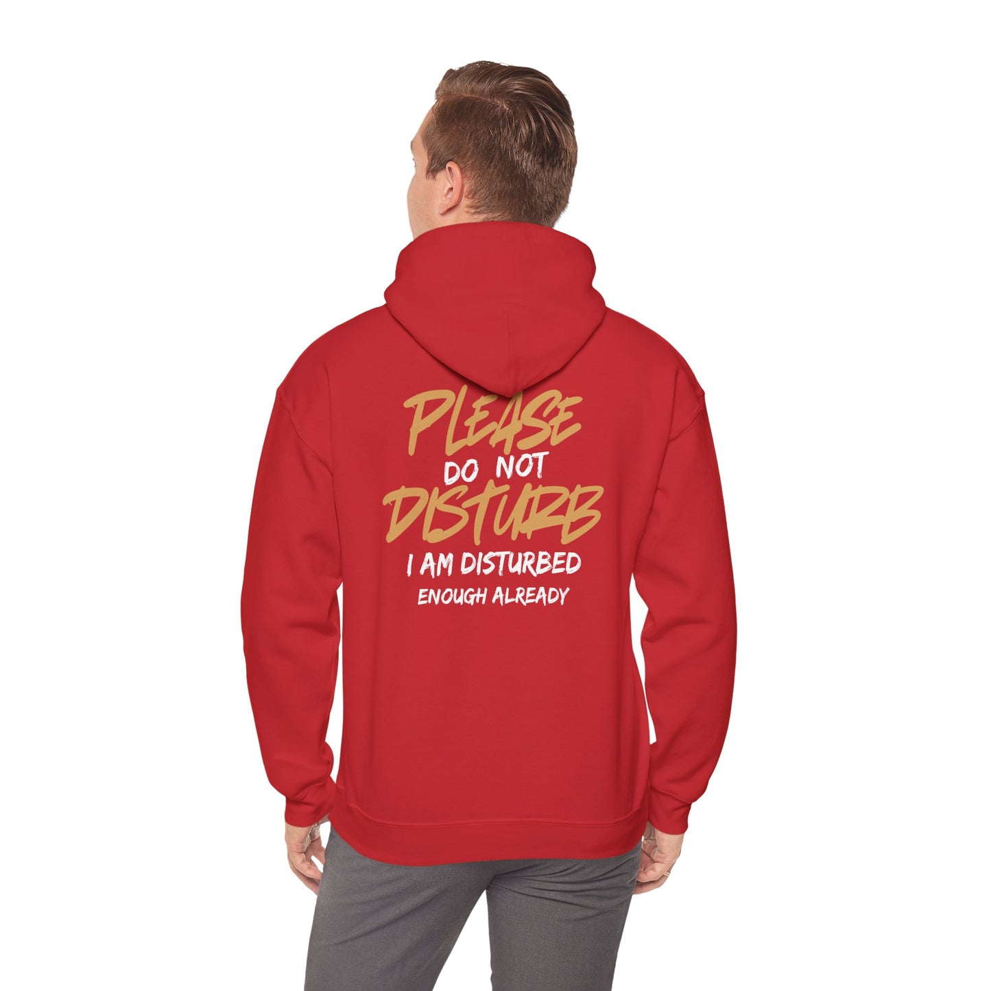 Unisex Heavy Blend™ Hooded Sweatshirt - 'Do Not Disturb'