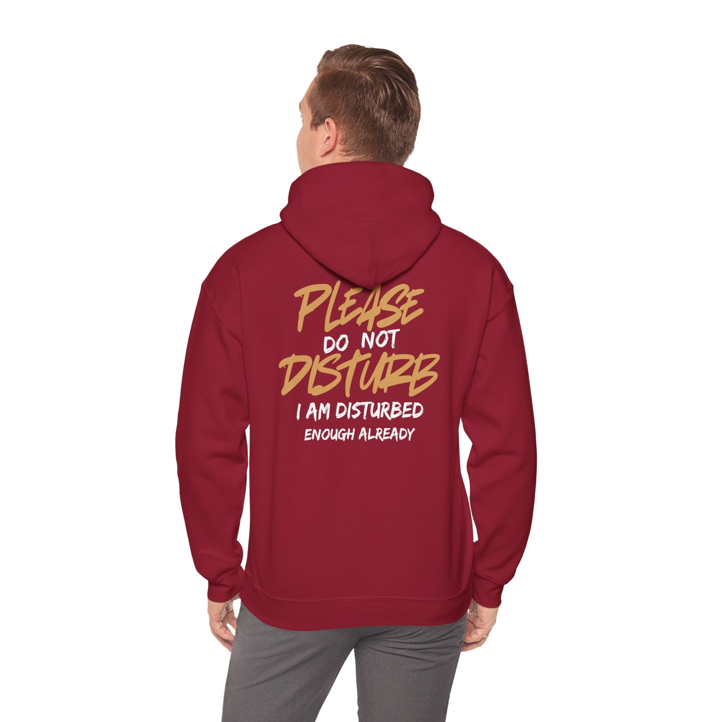 Unisex Heavy Blend™ Hooded Sweatshirt - 'Do Not Disturb'