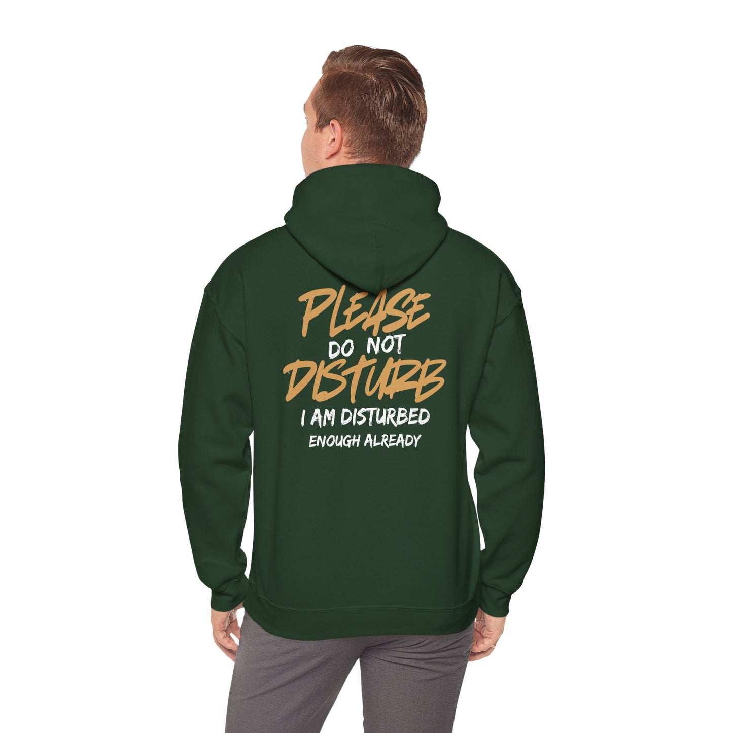Unisex Heavy Blend™ Hooded Sweatshirt - 'Do Not Disturb'