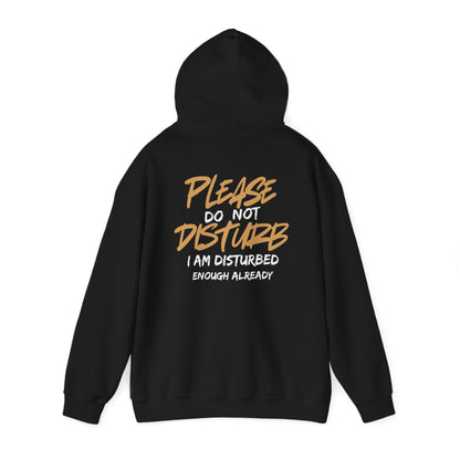 Unisex Heavy Blend™ Hooded Sweatshirt - 'Do Not Disturb'