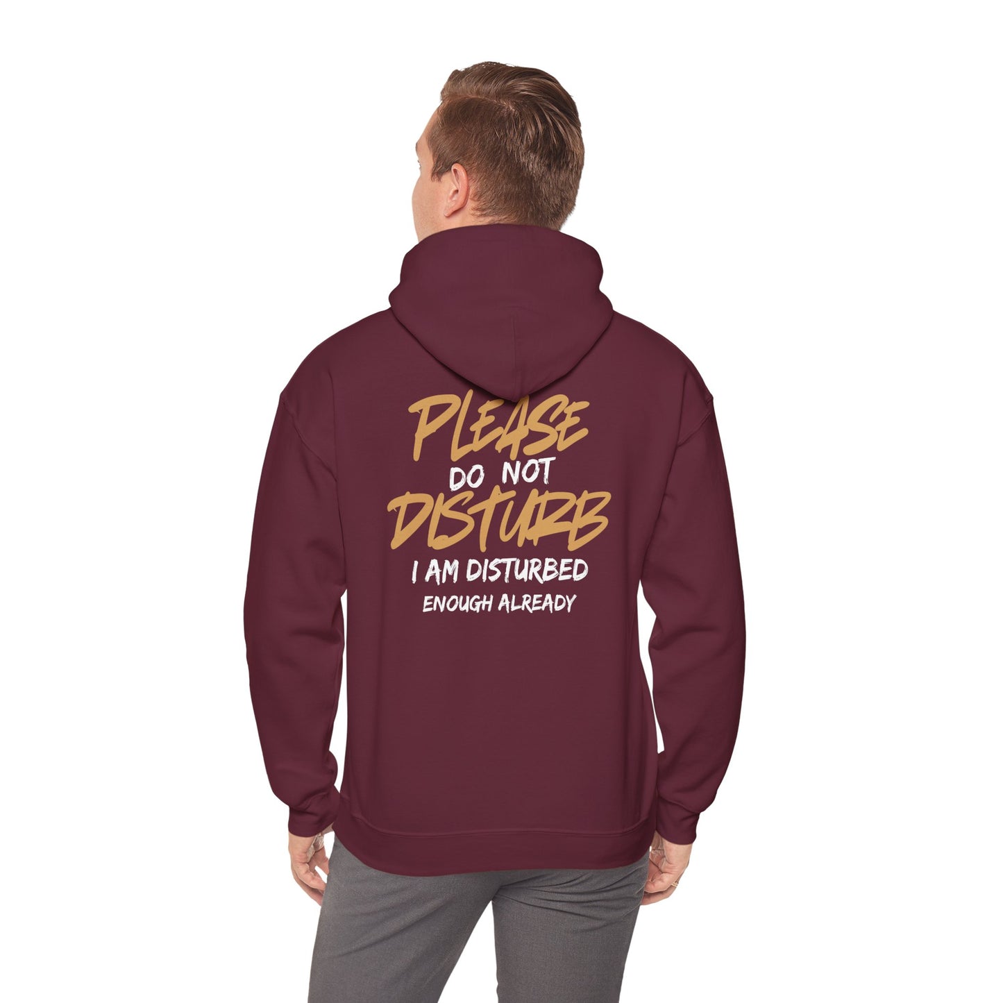 Unisex Heavy Blend™ Hooded Sweatshirt - 'Do Not Disturb'