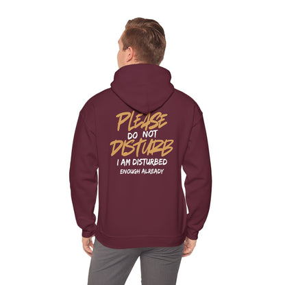 Unisex Heavy Blend™ Hooded Sweatshirt - 'Do Not Disturb'